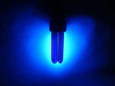 Luz Negra ( Neon)